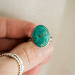 Load image into Gallery viewer, Double Banded Turquoise Ring
