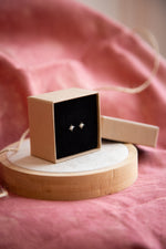 Load image into Gallery viewer, North Star Stud Earrings
