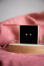 Load image into Gallery viewer, North Star Stud Earrings
