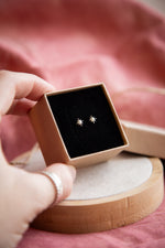 Load image into Gallery viewer, North Star Stud Earrings
