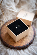 Load image into Gallery viewer, North Star Stud Earrings
